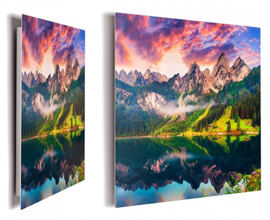 Metal Print